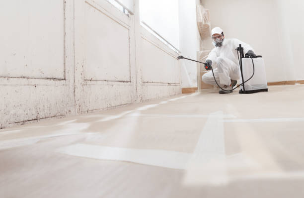 24/7 Emergency Crawl Space Mold Remediation experts in Woodbridge, VA