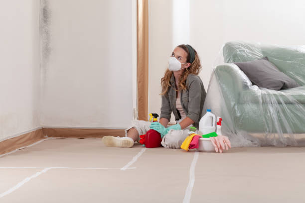 Reliable Crawl Space Mold Remediation contractor in Woodbridge, VA by Mold Remediation HQ